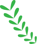 green branch