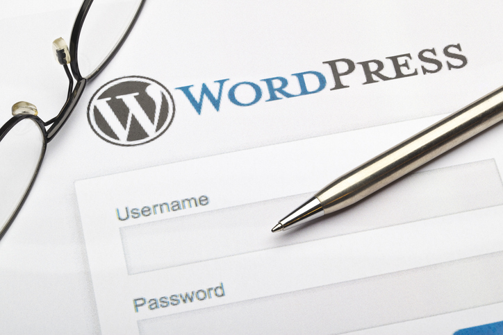 Top Features to Look for in a WordPress Maintenance Package 1 wordpress maintenance